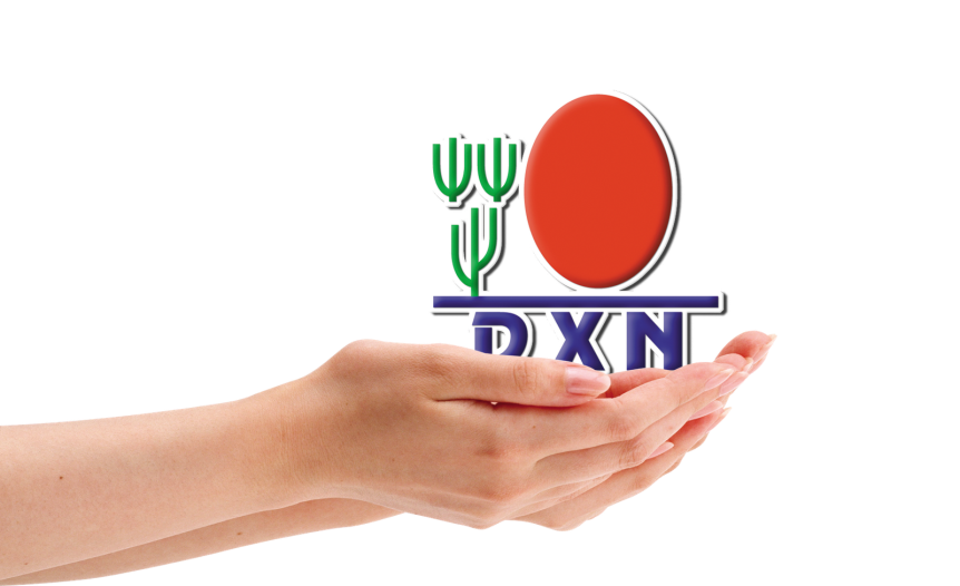 logo in the hand
